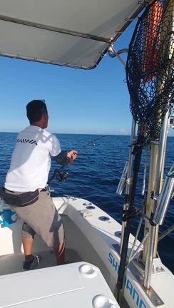 キハダの記事動画