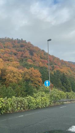 圧巻の美しさでした♡の記事動画