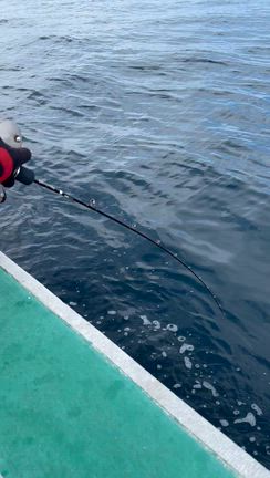 ジギング便の記事動画