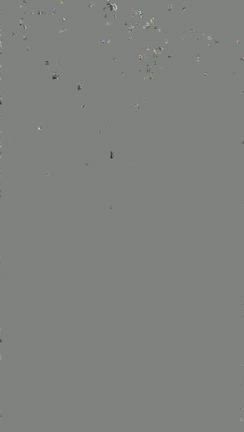 初めてのワンコのお誕生日祝い【メルル１歳】の記事動画