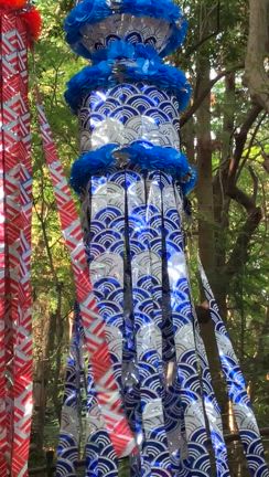 七夕と藍色くらげ姫ちゃんの記事動画