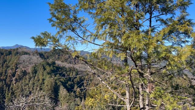 結局、山と温泉とビールの記事動画