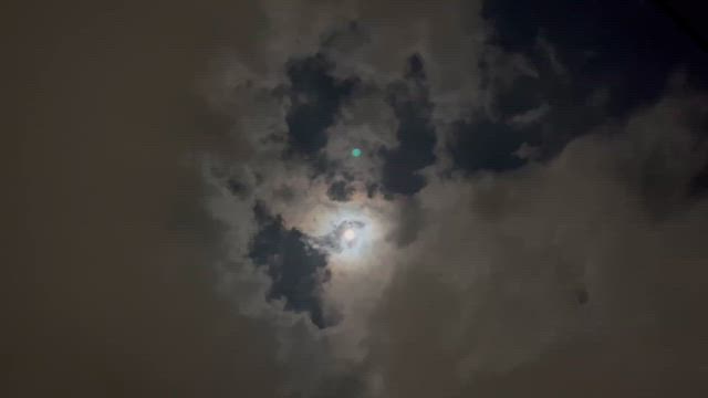 なんと小判形の記事動画