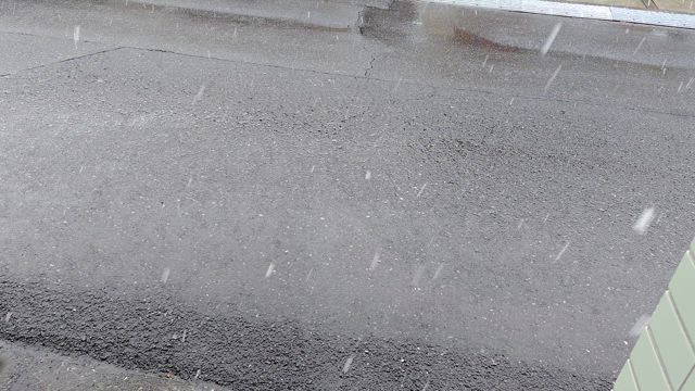 MLB東京シリーズ、カブス対ドジャースの記事動画