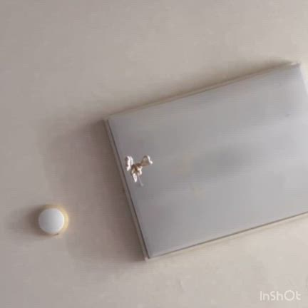 うちのインコの呟きの記事動画