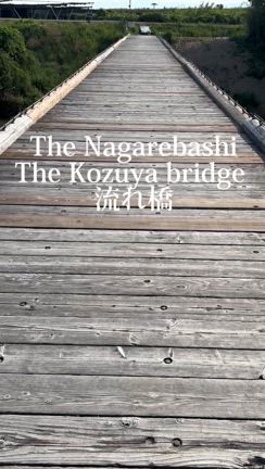 八幡市の流れ橋に行ってきた♪の記事動画