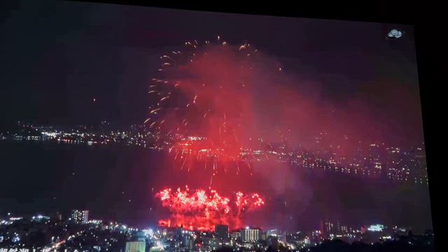 真夏のサボテン・諏訪湖花火大会の記事動画