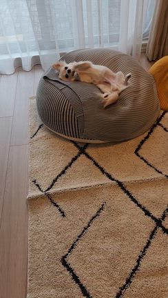 【ひとり晩酌はじめます】金曜しごおわの至福の記事動画