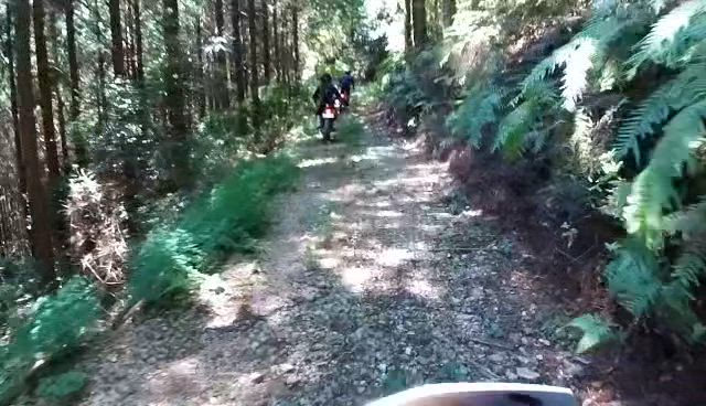 林道ツーリング③【崖落ち】の記事動画