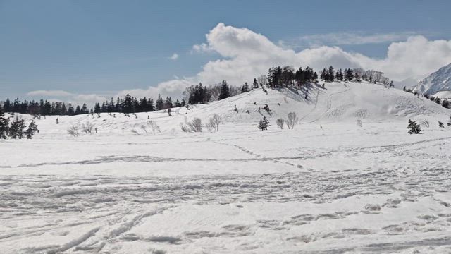 IN 長野県　栂池の記事動画