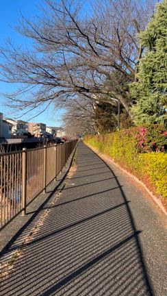 いよいよ入試当日！たくましい息子の姿の記事動画