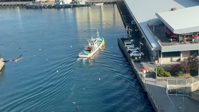 2泊３日の沼津旅行-その1☆の記事動画