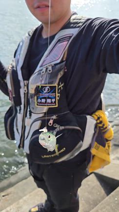 芦屋のチヌ釣り　②の記事動画