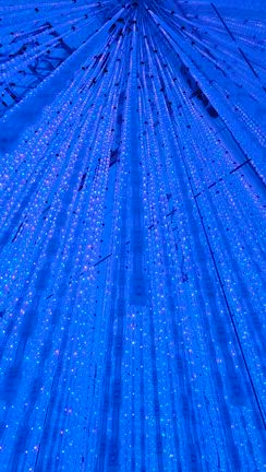 2025/08/14　麻布台ヒルズ　teamLab Borderlessへの記事動画