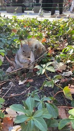 Celebration Tripの記事動画