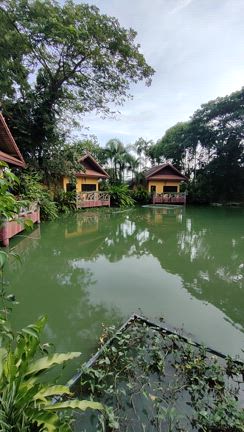 ◯エオ式チネイザン（エオネイザン） & エオ式カルサイネイザン　受講に伴う情報あれこれの記事動画