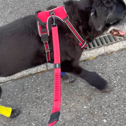 2024/06/10の記事動画