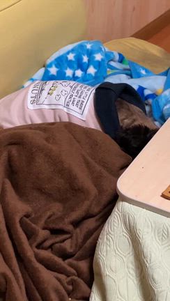 忍法隠れ蓑の術を習得したコテピ=(^.^)=の記事動画