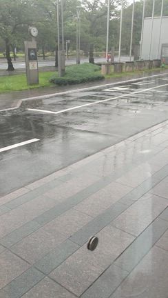 昼過ぎから雨予報でバイク転がしたら大雨だよ(ToT)の記事動画
