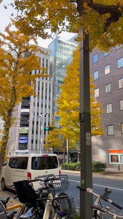 今年もあとわずかの記事動画