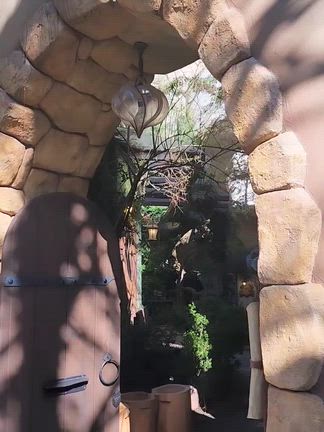 紫の人の記事動画