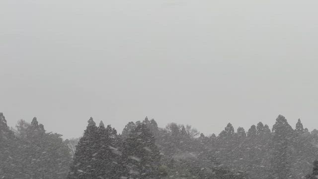 おはようございますの記事動画