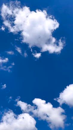 終戦の日の記事動画