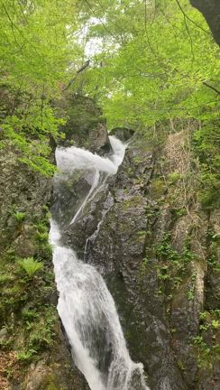 鶏頭山と七折の滝の記事動画