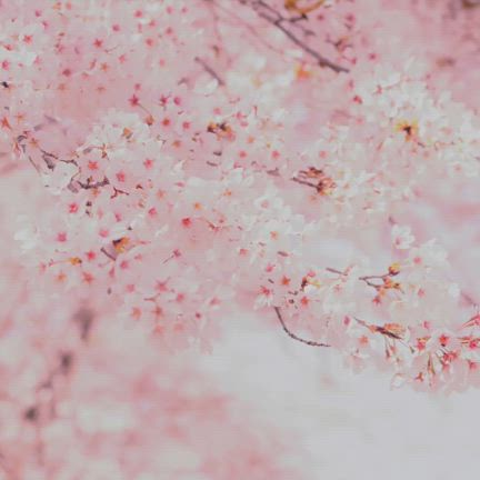 【広島市歌声サロン】満席となりましたの記事動画