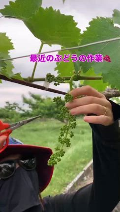 2025/06/11の記事動画