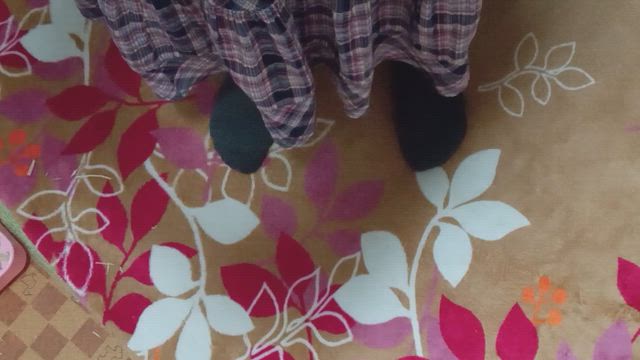 行く所に迷うの記事動画