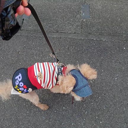 暖かい日ʘ‿ʘの記事動画