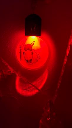 新春初インスタライブ。の記事動画