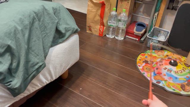 保護猫2匹、信頼関係の入口は全然違いました。からのお客様との信頼関係の入口についての記事動画