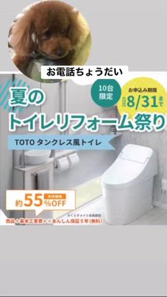 リフォーム祭りの記事動画