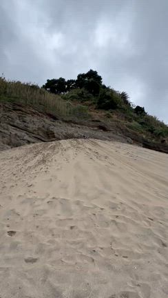 【伊豆】子連れにおすすめTOP５の記事動画