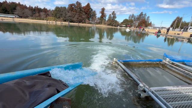 3月放流予定の記事動画