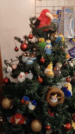 KotoriArtさんの新作パステル原画、入荷です！の記事動画