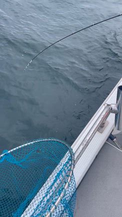 ファミリーフィッシングタイラバの記事動画