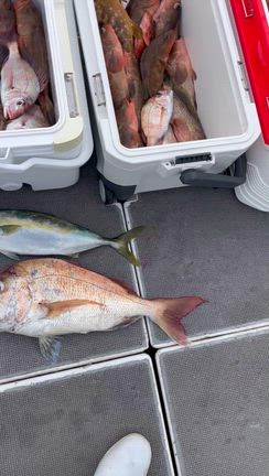 一つテンヤの記事動画