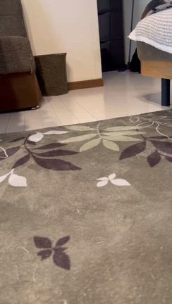 里親通信☘️ぬー君（ヌートバー）5ヶ月目お便りの記事動画