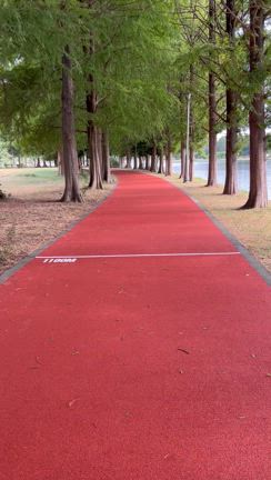 特別上映「太陽の子」裕之さんと「僕いた」の拓人に会いに。。の記事動画