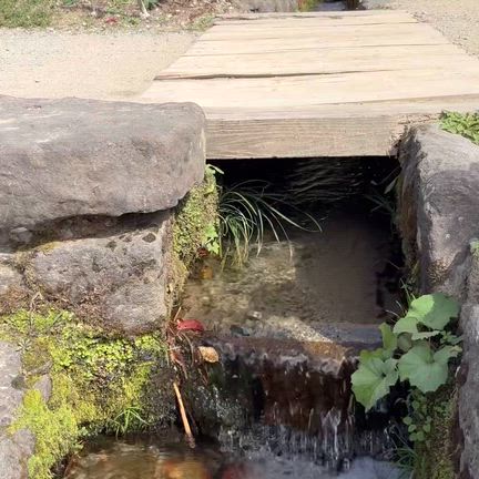空夜のお誕生日旅行記【福島⑤】の記事動画