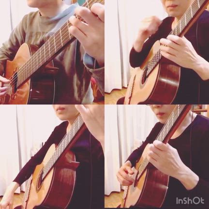 白い花は恋人の色の記事動画