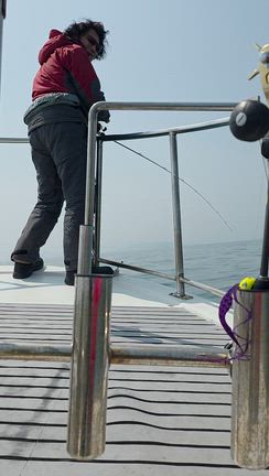 バラエティ豊富に⤴️　3月29日の記事動画