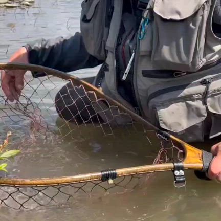 米代川サクラマスの記事動画