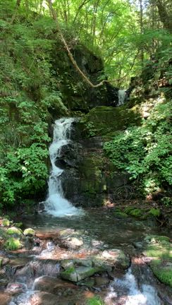 【レポ】檜原村 九頭龍神社リトリートの記事動画