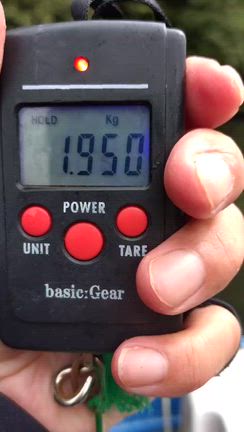 リアルタイム✨の記事動画