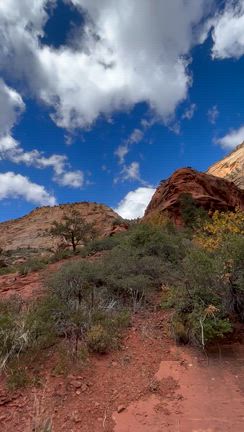 セドナ有名な4大ボルテックス❣️の記事動画
