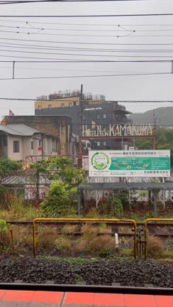 やっと雨です、というより台風でどういうわけか独身税に⁉️の記事動画